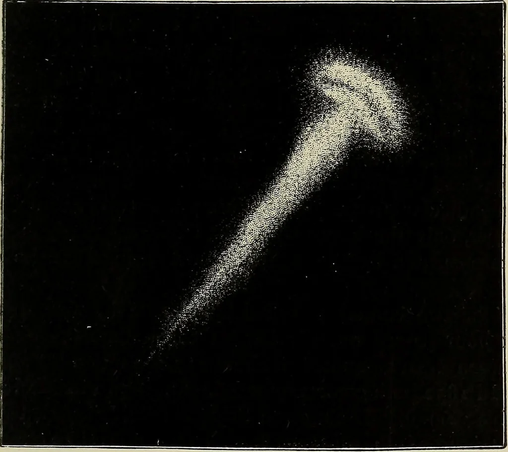 An illustration from Mysteries of time and space, 1883, leaf 190
