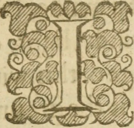 An illustration from The mysteryes of nature and art : conteined in foure severall tretises, the first of water workes, the second of fyer workes, the third of drawing, colouring, painting, and engrauing, the fourth of divers experiments, as wel serviceable as delightful, 1634, leaf 12