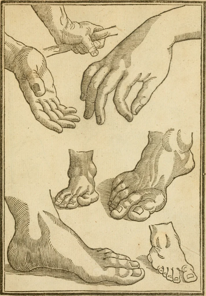 An illustration from The mysteryes of nature and art : conteined in foure severall tretises, the first of water workes, the second of fyer workes, the third of drawing, colouring, painting, and engrauing, the fourth of divers experiments, as wel serviceable as delightful, 1634, leaf 134