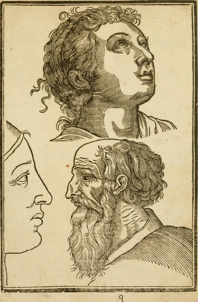 An illustration from The mysteryes of nature and art : conteined in foure severall tretises, the first of water workes, the second of fyer workes, the third of drawing, colouring, painting, and engrauing, the fourth of divers experiments, as wel serviceable as delightful, 1634, leaf 136