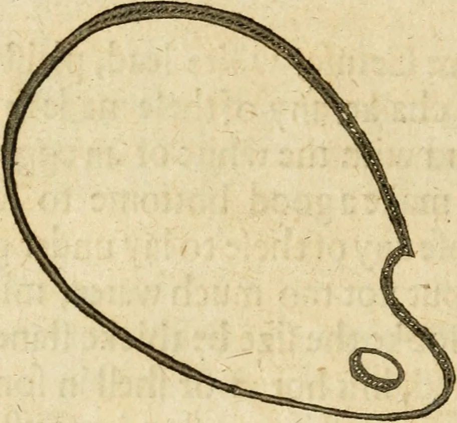 An illustration from The mysteryes of nature and art : conteined in foure severall tretises, the first of water workes, the second of fyer workes, the third of drawing, colouring, painting, and engrauing, the fourth of divers experiments, as wel serviceable as delightful, 1634, leaf 155