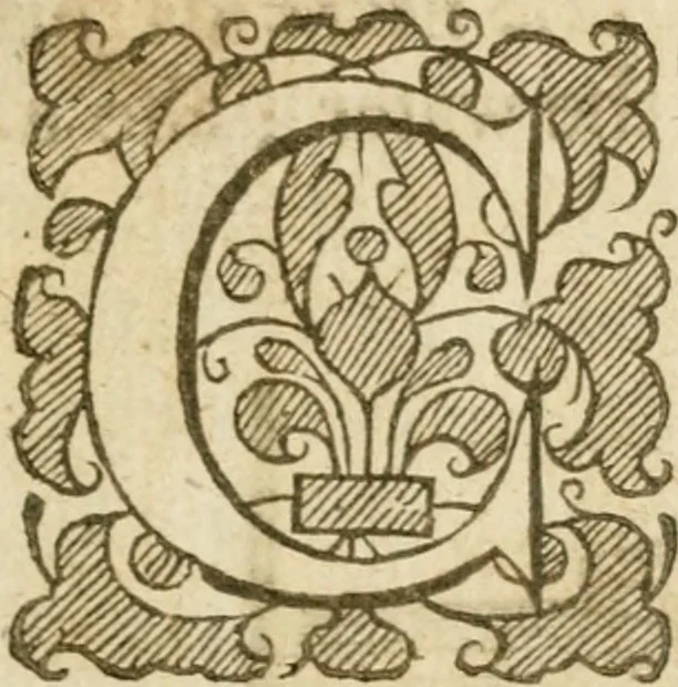 An illustration from The mysteryes of nature and art : conteined in foure severall tretises, the first of water workes, the second of fyer workes, the third of drawing, colouring, painting, and engrauing, the fourth of divers experiments, as wel serviceable as delightful, 1634, leaf 170