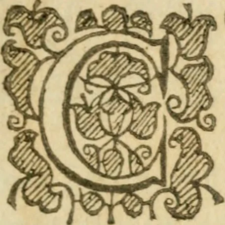 An illustration from The mysteryes of nature and art : conteined in foure severall tretises, the first of water workes, the second of fyer workes, the third of drawing, colouring, painting, and engrauing, the fourth of divers experiments, as wel serviceable as delightful, 1634, leaf 66