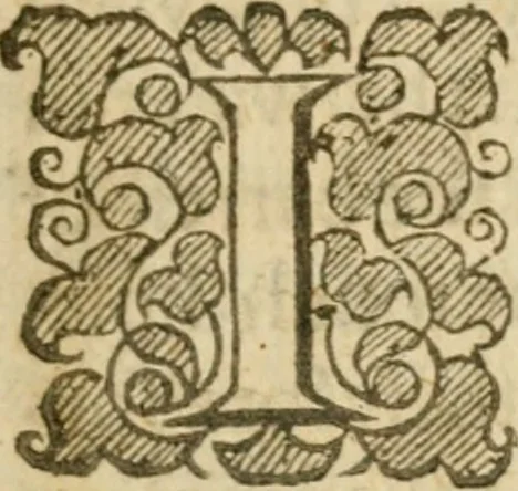 An illustration from The mysteryes of nature and art : conteined in foure severall tretises, the first of water workes, the second of fyer workes, the third of drawing, colouring, painting, and engrauing, the fourth of divers experiments, as wel serviceable as delightful, 1634, leaf 68