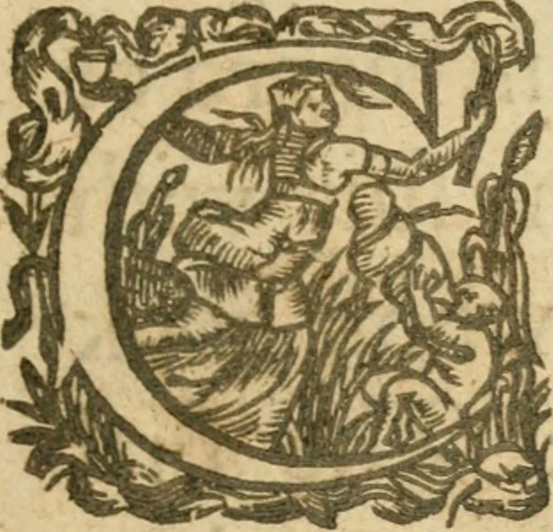 An illustration from The mysteryes of nature and art : conteined in foure severall tretises, the first of water workes, the second of fyer workes, the third of drawing, colouring, painting, and engrauing, the fourth of divers experiments, as wel serviceable as delightful, 1634, leaf 8