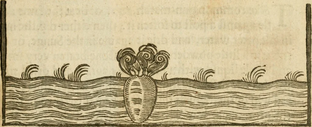 An illustration from The mysteryes of nature and art : conteined in foure severall tretises, the first of water workes, the second of fyer workes, the third of drawing, colouring, painting, and engrauing, the fourth of divers experiments, as wel serviceable as delightful, 1634, leaf 80
