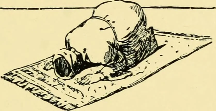 An illustration from The mystery of the oriental rug; the mystery of the rug, the prayer rug, some advice to purchasers of oriental rugs, 1914, leaf 38