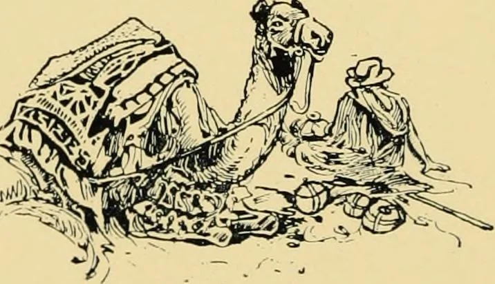 An illustration from The mystery of the oriental rug; the mystery of the rug, the prayer rug, some advice to purchasers of oriental rugs, 1914, leaf 87