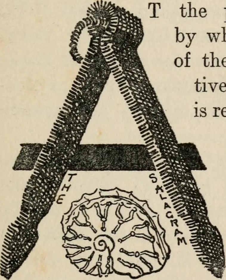 An illustration from The mystics, ascetics, and saints of India : a study of Sadhuism, with an account of the Yogis, Sanyasis, Bairagis, and other strange Hindu sectarians, 1905, leaf 146