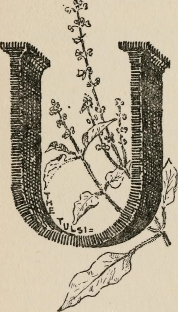 An illustration from The mystics, ascetics, and saints of India : a study of Sadhuism, with an account of the Yogis, Sanyasis, Bairagis, and other strange Hindu sectarians, 1905, leaf 159