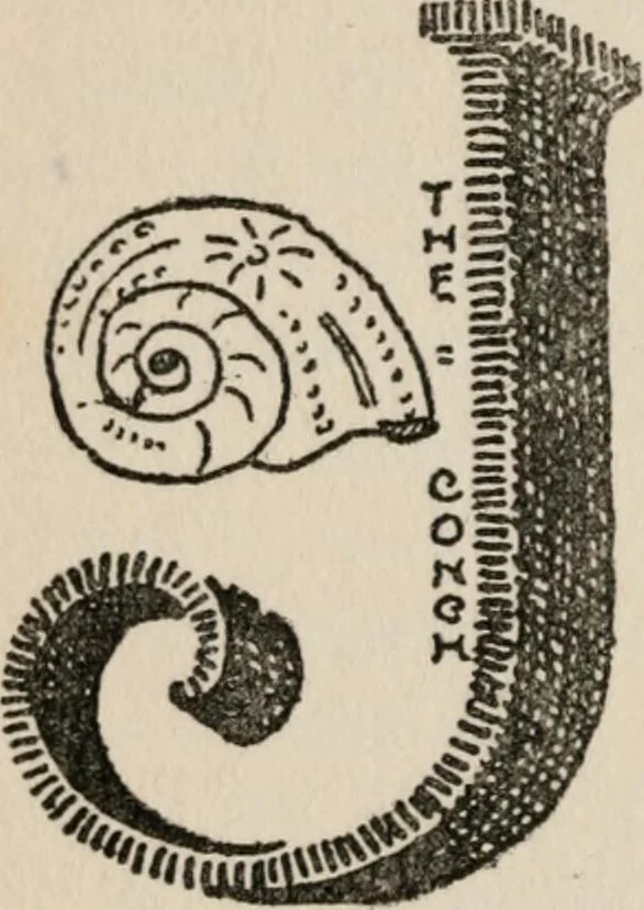 An illustration from The mystics, ascetics, and saints of India : a study of Sadhuism, with an account of the Yogis, Sanyasis, Bairagis, and other strange Hindu sectarians, 1905, leaf 209