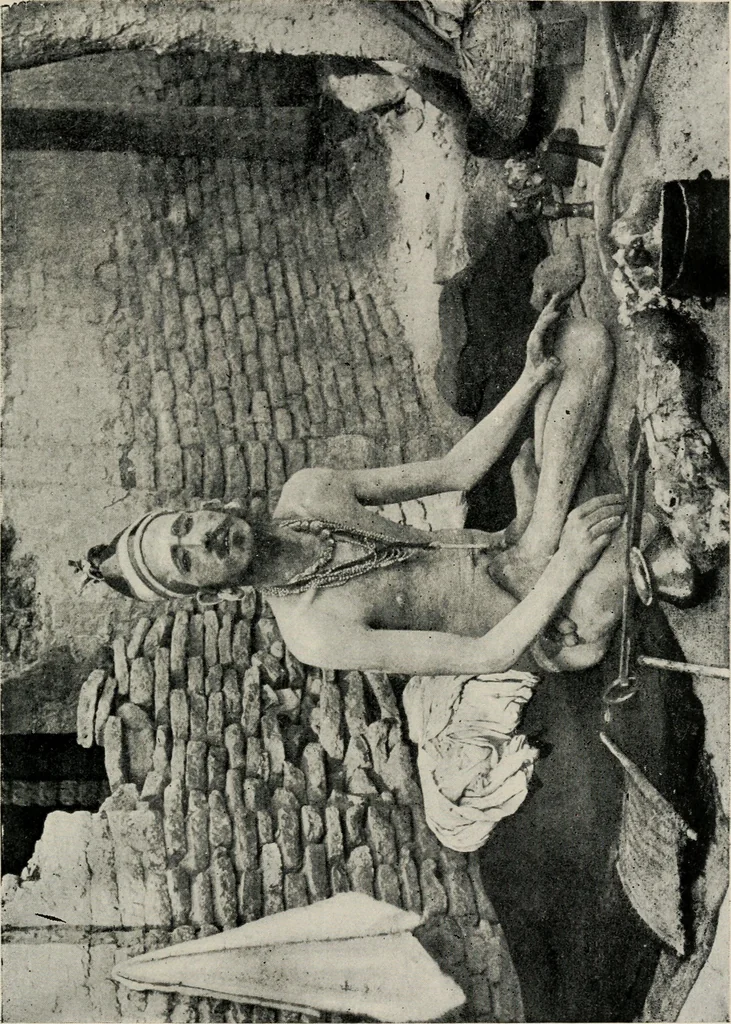An illustration from The mystics, ascetics, and saints of India : a study of Sadhuism, with an account of the Yogis, Sanyasis, Bairagis, and other strange Hindu sectarians, 1905, leaf 228