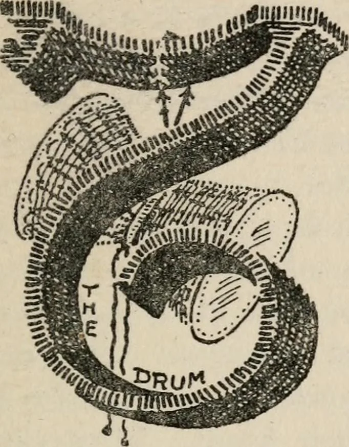An illustration from The mystics, ascetics, and saints of India : a study of Sadhuism, with an account of the Yogis, Sanyasis, Bairagis, and other strange Hindu sectarians, 1905, leaf 230
