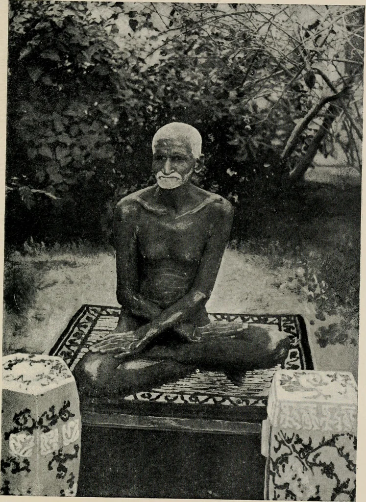 An illustration from The mystics, ascetics, and saints of India : a study of Sadhuism, with an account of the Yogis, Sanyasis, Bairagis, and other strange Hindu sectarians, 1905, leaf 254
