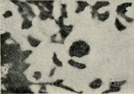 An illustration from The mystics, ascetics, and saints of India : a study of Sadhuism, with an account of the Yogis, Sanyasis, Bairagis, and other strange Hindu sectarians, 1905, leaf 274