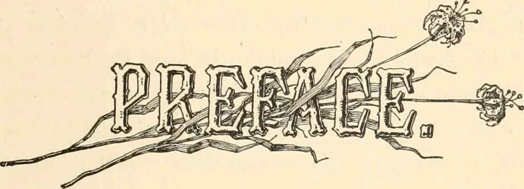 An illustration from My story of the war : a woman's narrative of four years personal experience as nurse in the Union Army : and in relief work at home, in hospitals, camps, and at the front, during the war of the rebellion : with anecdotes, pathetic incidents, and thrilling reminiscences portraying the lights and shadows of hospital life and the sanitary services of the war, 1890, leaf 10