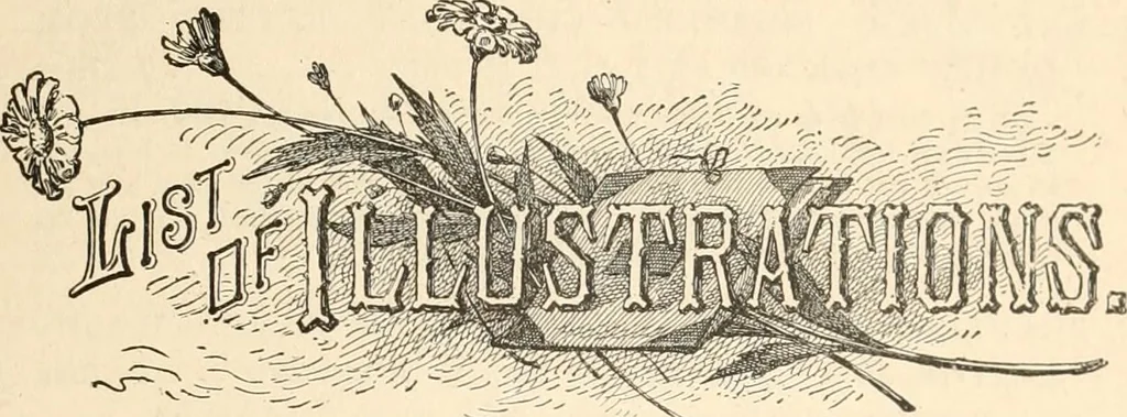 An illustration from My story of the war : a woman's narrative of four years personal experience as nurse in the Union Army : and in relief work at home, in hospitals, camps, and at the front, during the war of the rebellion : with anecdotes, pathetic incidents, and thrilling reminiscences portraying the lights and shadows of hospital life and the sanitary services of the war, 1890, leaf 16