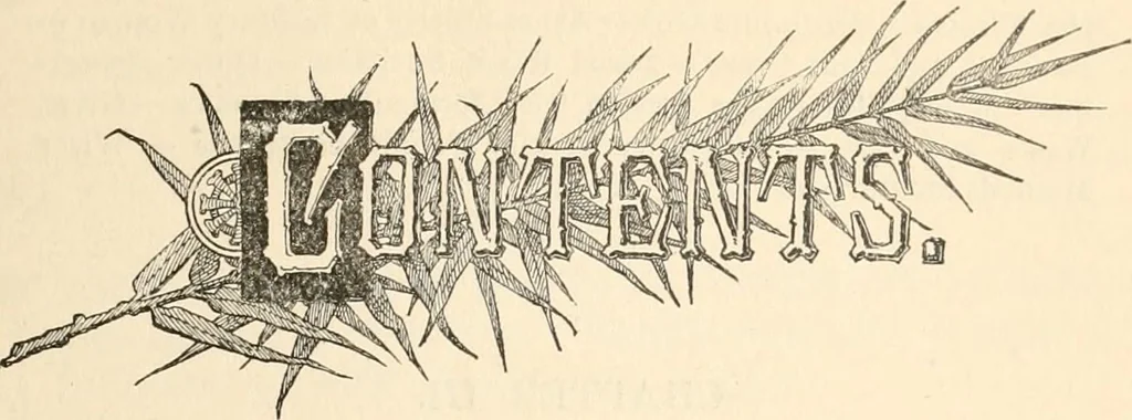 An illustration from My story of the war : a woman's narrative of four years personal experience as nurse in the Union Army : and in relief work at home, in hospitals, camps, and at the front, during the war of the rebellion : with anecdotes, pathetic incidents, and thrilling reminiscences portraying the lights and shadows of hospital life and the sanitary services of the war, 1890, leaf 70