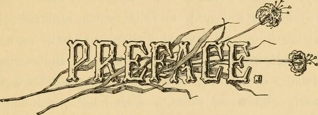 An illustration from My story of the war: a woman's narrative of four years personal experience as nurse in the Union army, and in relief work at home, in hospitals, camps, and at the front, during the war of the rebellion..., 1889, leaf 12