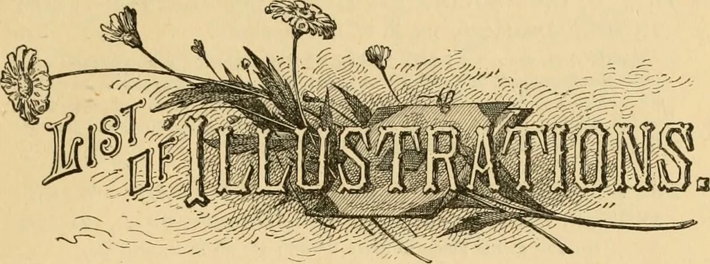 An illustration from My story of the war: a woman's narrative of four years personal experience as nurse in the Union army, and in relief work at home, in hospitals, camps, and at the front, during the war of the rebellion..., 1889, leaf 18