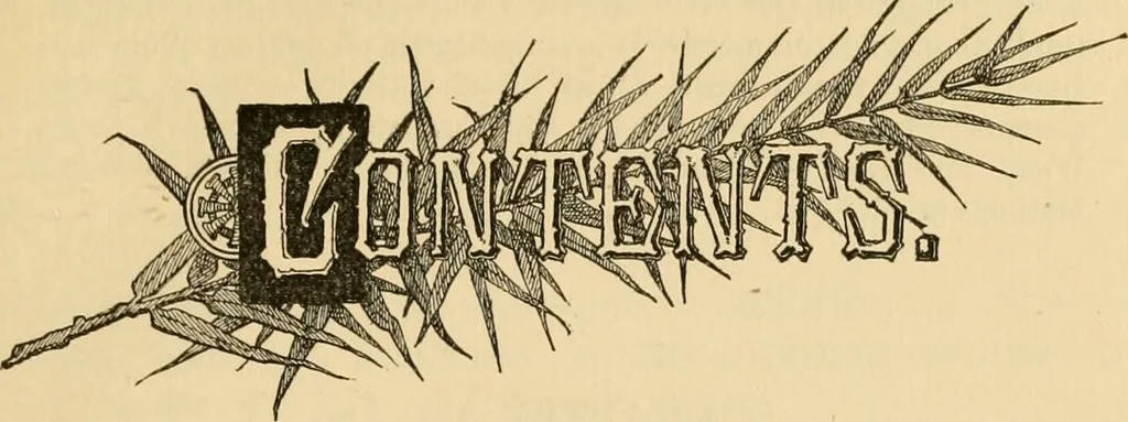 An illustration from My story of the war: a woman's narrative of four years personal experience as nurse in the Union army, and in relief work at home, in hospitals, camps, and at the front, during the war of the rebellion..., 1889, leaf 72