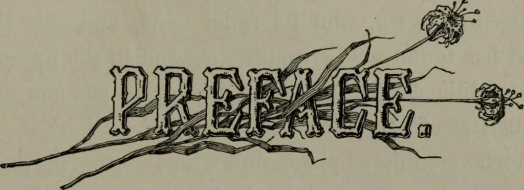 An illustration from My story of the war: a woman's narrative of four years personal experience as nurse in the Union army, and in relief work at home, in hospitals, camps, and at the front, during the war of the rebellion, 1889, leaf 12
