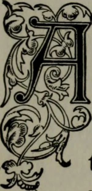 An illustration from My story of the war: a woman's narrative of four years personal experience as nurse in the Union army, and in relief work at home, in hospitals, camps, and at the front, during the war of the rebellion, 1889, leaf 176