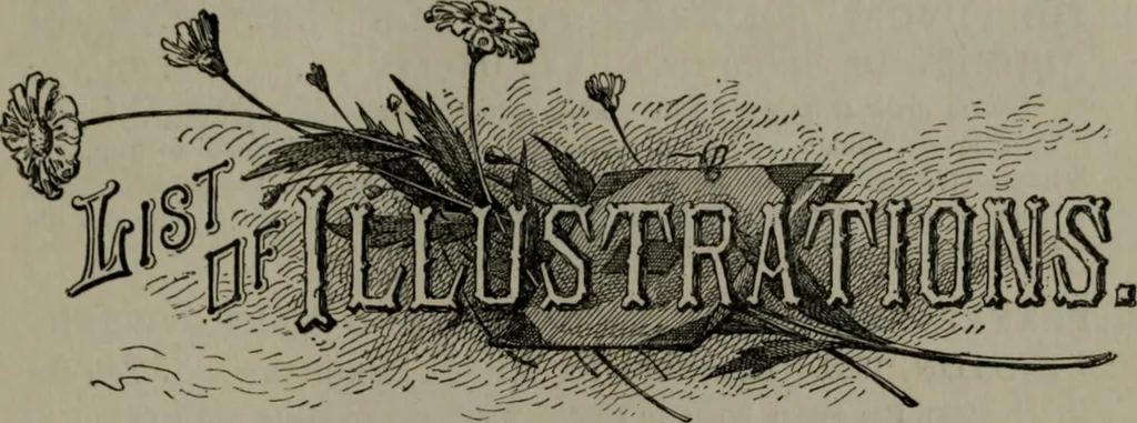 An illustration from My story of the war: a woman's narrative of four years personal experience as nurse in the Union army, and in relief work at home, in hospitals, camps, and at the front, during the war of the rebellion, 1889, leaf 18