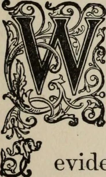 An illustration from My story of the war: a woman's narrative of four years personal experience as nurse in the Union army, and in relief work at home, in hospitals, camps, and at the front, during the war of the rebellion, 1889, leaf 189