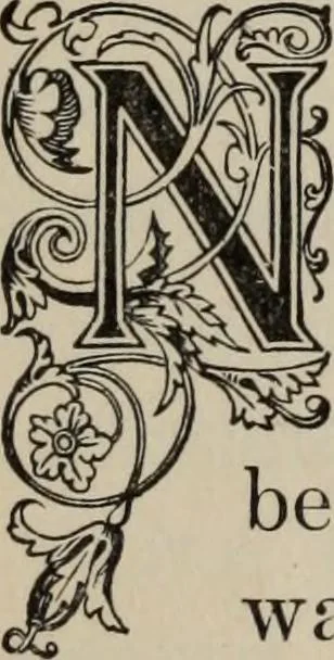 An illustration from My story of the war: a woman's narrative of four years personal experience as nurse in the Union army, and in relief work at home, in hospitals, camps, and at the front, during the war of the rebellion, 1889, leaf 535