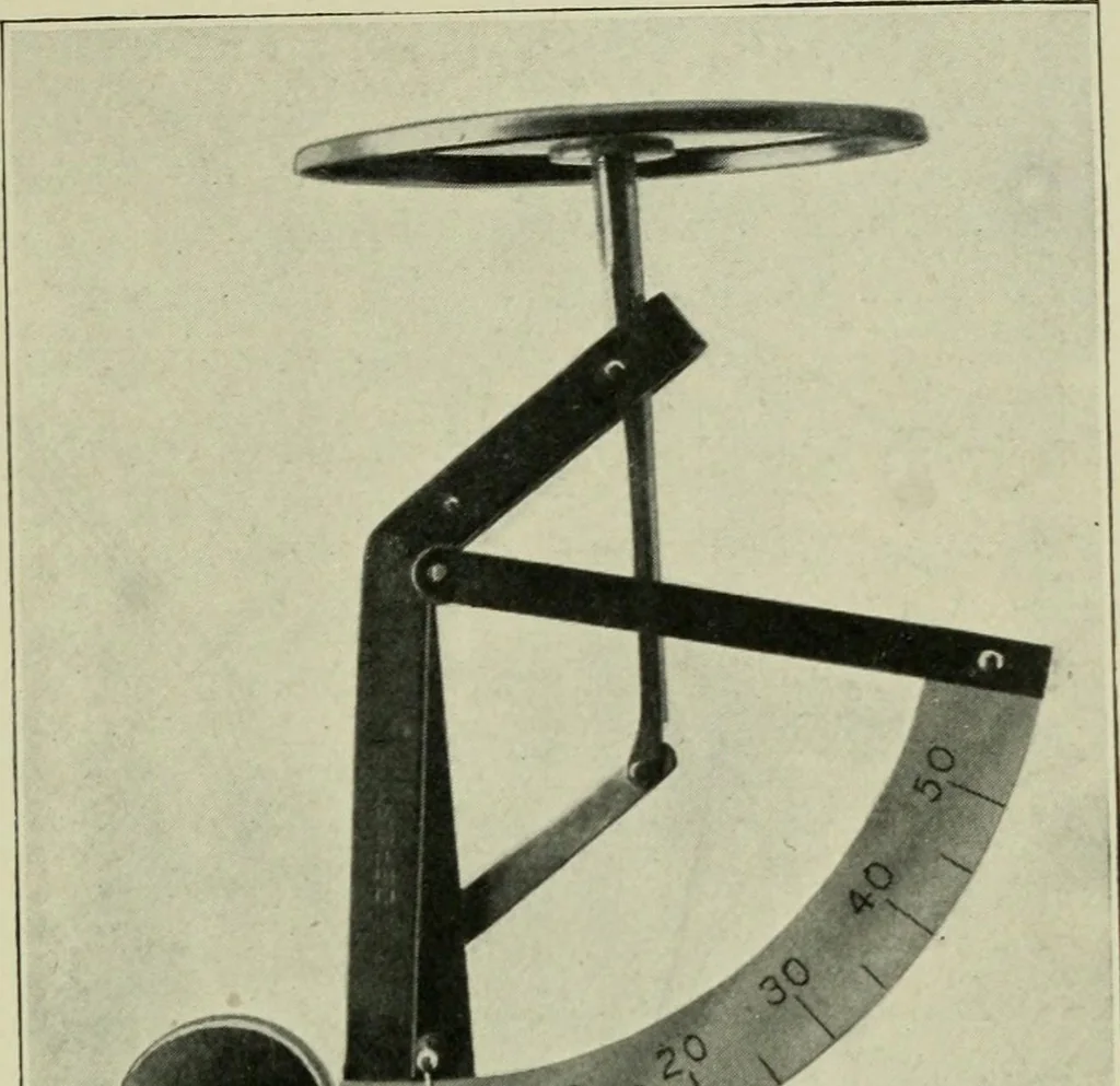 An illustration from Mystrious psychic forces; an account of the author's invesigations in psychical research, together with those of other European savants, 1907, leaf 252