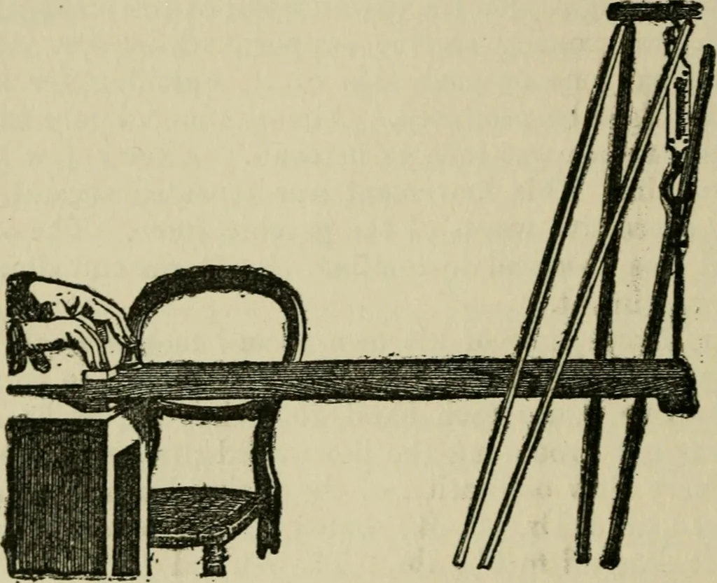 An illustration from Mystrious psychic forces; an account of the author's invesigations in psychical research, together with those of other European savants, 1907, leaf 369