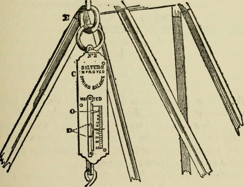 An illustration from Mystrious psychic forces; an account of the author's invesigations in psychical research, together with those of other European savants, 1907, leaf 374