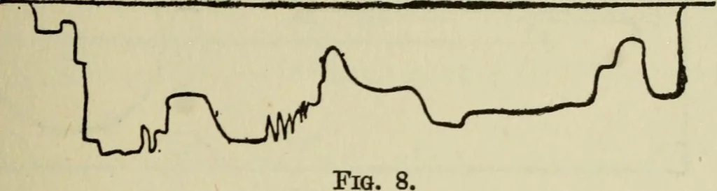 An illustration from Mystrious psychic forces; an account of the author's invesigations in psychical research, together with those of other European savants, 1907, leaf 378