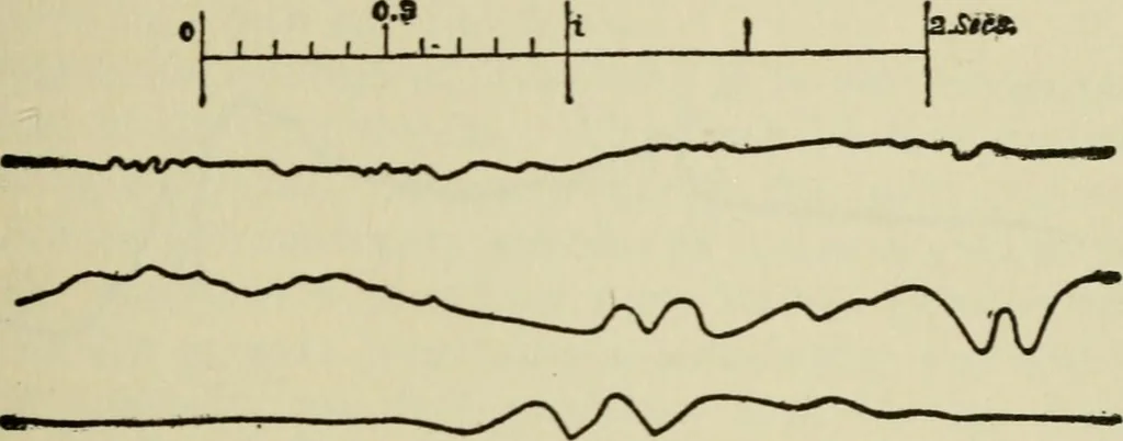 An illustration from Mystrious psychic forces; an account of the author's invesigations in psychical research, together with those of other European savants, 1907, leaf 380