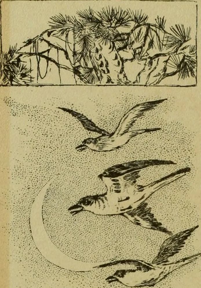 An illustration from Mythological Japan : the symbolisms of mythology in relation to Japanese art, with illustrations drawn in Japan, by native artists, 1902, leaf 23