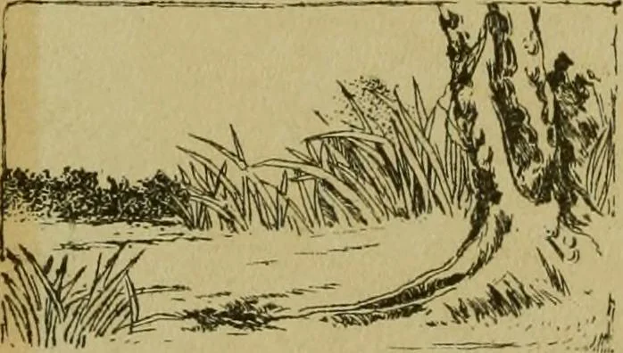 An illustration from Mythological Japan : the symbolisms of mythology in relation to Japanese art, with illustrations drawn in Japan, by native artists, 1902, leaf 23