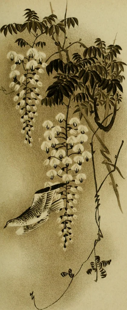An illustration from Mythological Japan : the symbolisms of mythology in relation to Japanese art, with illustrations drawn in Japan, by native artists, 1902, leaf 28