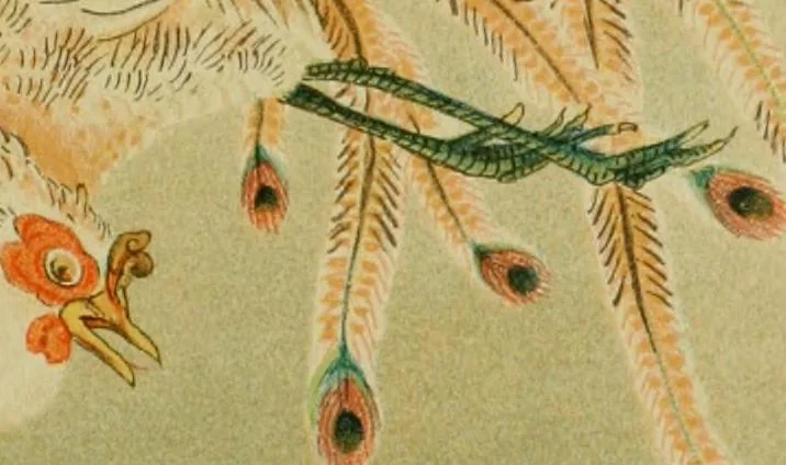 An illustration from Mythological Japan : the symbolisms of mythology in relation to Japanese art, with illustrations drawn in Japan, by native artists, 1902, leaf 34