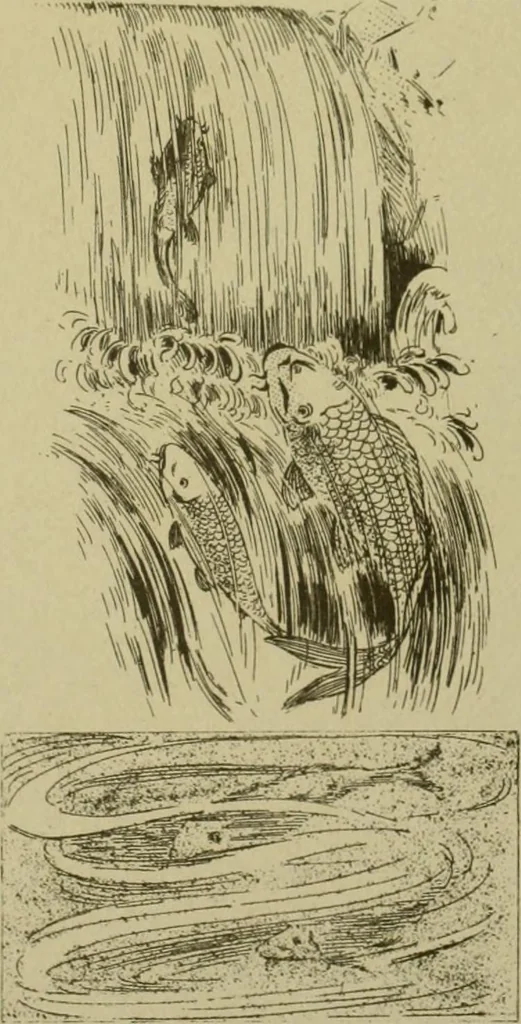 An illustration from Mythological Japan : the symbolisms of mythology in relation to Japanese art, with illustrations drawn in Japan, by native artists, 1902, leaf 36