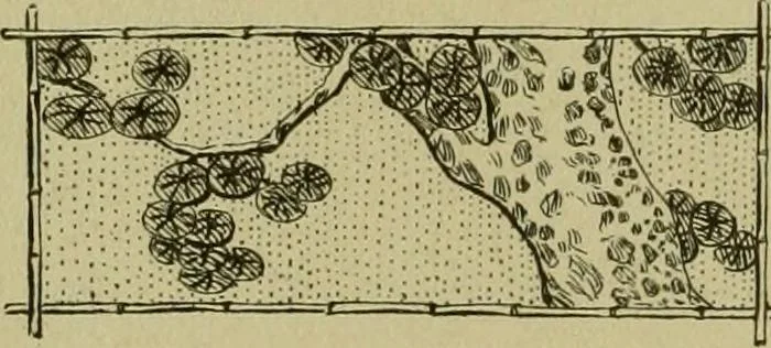 An illustration from Mythological Japan : the symbolisms of mythology in relation to Japanese art, with illustrations drawn in Japan, by native artists, 1902, leaf 57