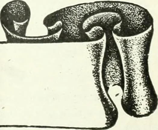 An illustration from Canadian textile journal, 1908, leaf 31