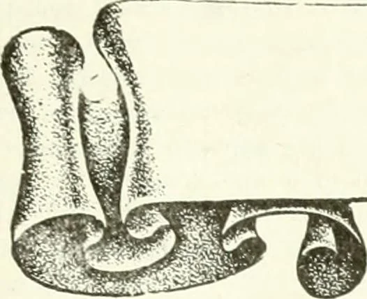 An illustration from Canadian textile journal, 1908, leaf 28