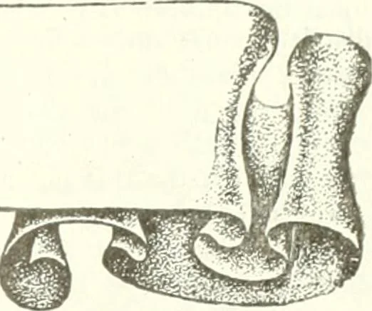 An illustration from Canadian textile journal, 1908, leaf 28