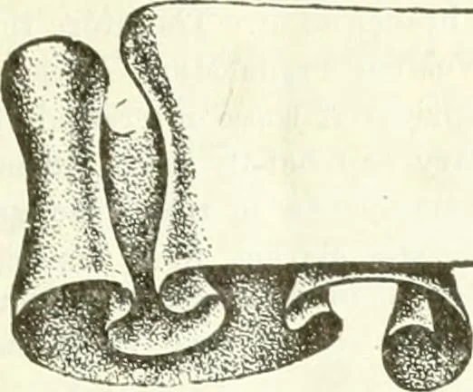 An illustration from Canadian textile journal, 1908, leaf 28