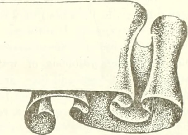 An illustration from Canadian textile journal, 1908, leaf 28