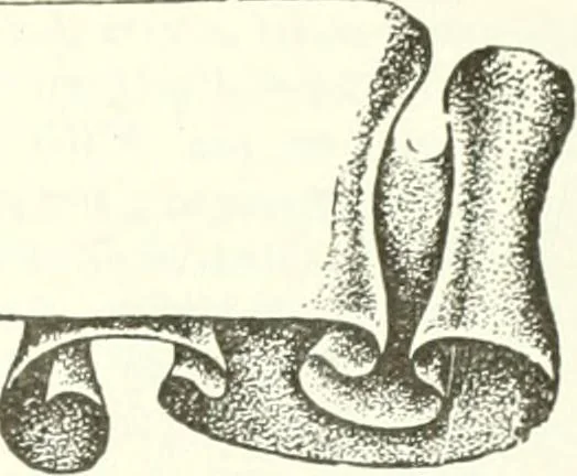 An illustration from Canadian textile journal, 1908, leaf 26