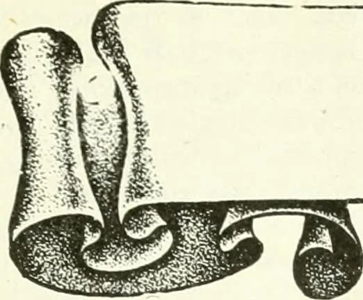 An illustration from Canadian textile journal, 1908, leaf 28