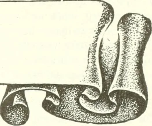 An illustration from Canadian textile journal, 1908, leaf 28