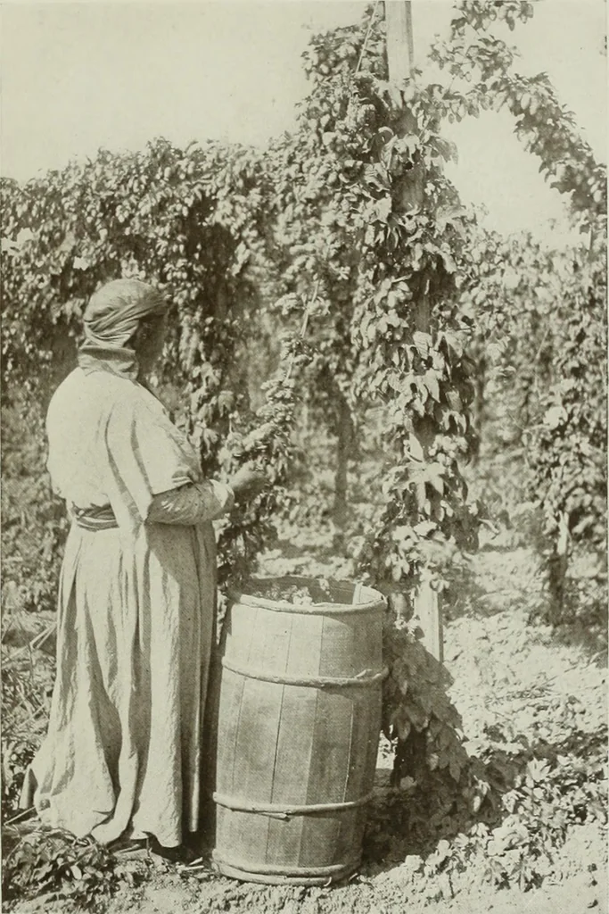 An illustration from The craftsman, 1901, leaf 152